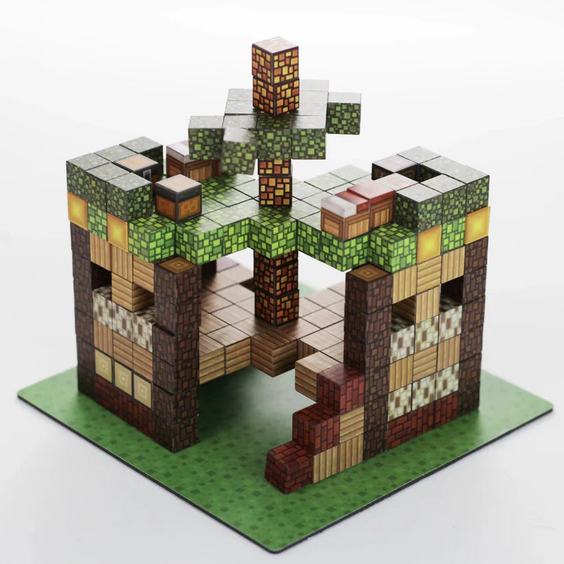 Pixy Blocks - Magnetic Building Blocks