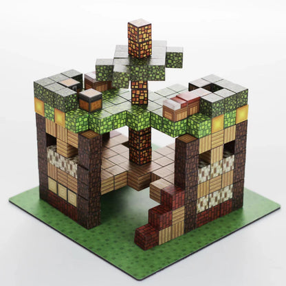 Pixy Blocks - Magnetic Building Blocks